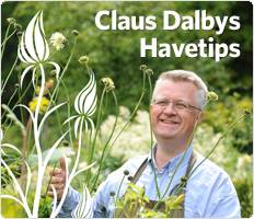 Claus Dalbys Havetips