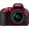 Nikon D5500 + AF-P 18-55mm VR Nikon D5500 + AF-P 18-55mm VR