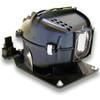 Preisvergleich Fujitsu Siemens Alda PQ Original, Beamerlampe für Fujitsu-Siemens XP 70 Projektoren, Markenlampe mit PRO-G6s Gehäuse Preisvergleich Fujitsu Siemens Alda PQ Original, Beamerlampe für Fujitsu-Siemens XP 70 Projektoren, Markenlampe mit PRO-G6s Gehäuse