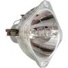 Preisvergleich Fujitsu Siemens Ersatzlampe für Fujitsu-Siemens S26361-F2604-V2, 077A408 Preisvergleich Fujitsu Siemens Ersatzlampe für Fujitsu-Siemens S26361-F2604-V2, 077A408