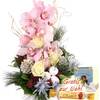 Blumenfee Orchideen-Zauber White Dream Blumenfee Orchideen-Zauber White Dream