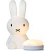 Mr Maria Miffy First Light Nachtlicht Mr Maria Miffy First Light Nachtlicht