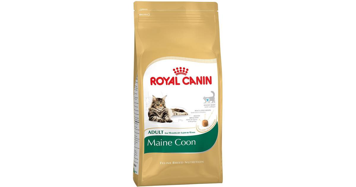 maine coon foder tilbud maine coon foder tilbud