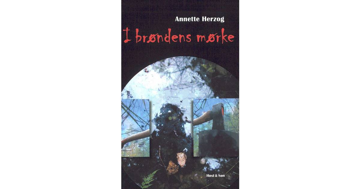 i brøndens mørke i brøndens mørke