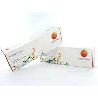 proclear 1 day kontaktlinser