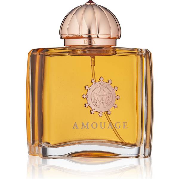 Amouage Dia Woman Edp 100ml Compare Prices Pricerunner Uk